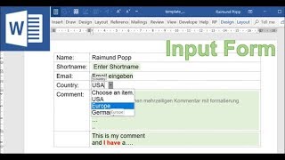 Create a Word Input Form with Inputfields