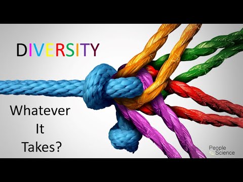 HCI Inclusive Diversity 2019 - Whatever It Takes