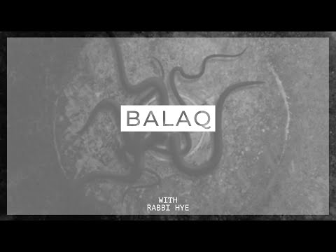 Parashat Balaq
