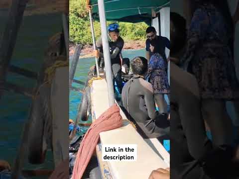 Scuba dive experience in deep clean water | Goa | South Goa