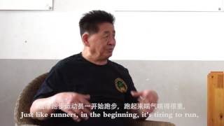 MAD-DECODE -  7 Stars Mantis - Zhong Lian Bao - Internal and external styles