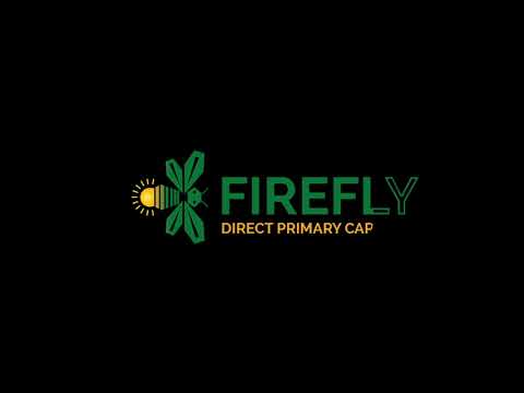 Fire Fly Logo Animation