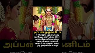 #god #tamilkadavulmurugan #murugan #tamilkadavul #lordmurugan #palani #palanimurugantemple