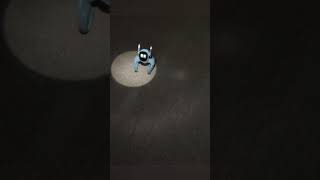 loona willing to perform #petrobot #loona #loonarobot #loonareaction #airobot
