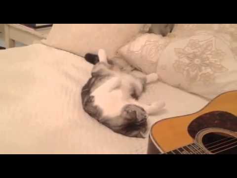Taylor Swift and Meredith in a weird position