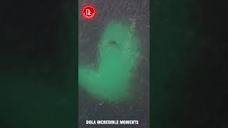 Incredible Moments Caught on CCTV Camera #3