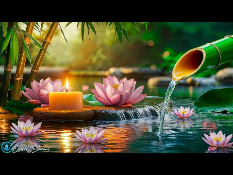 Relaxing Music with Water Sounds 🌿 Spa Music, Stress and Anxiety Relief #3
