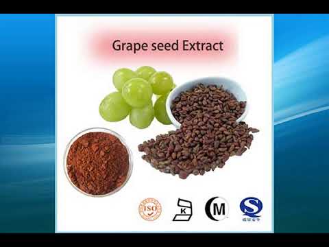 Grape Seed Extract supplier,wholesale,factory,bulk