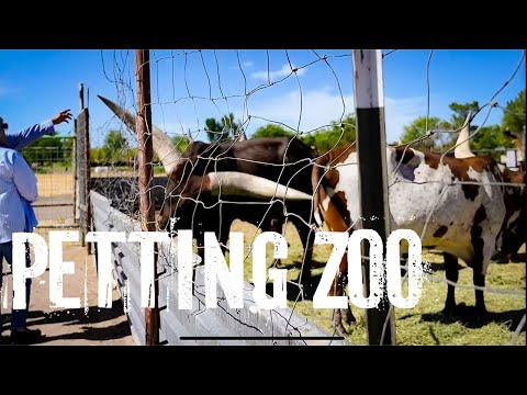 San Elizario Petting Zoo Vlog | A Fun Family day out vlog 