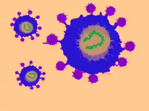 Community Strength To Prevent COVID-19 (in Myanmar) - Myanmar