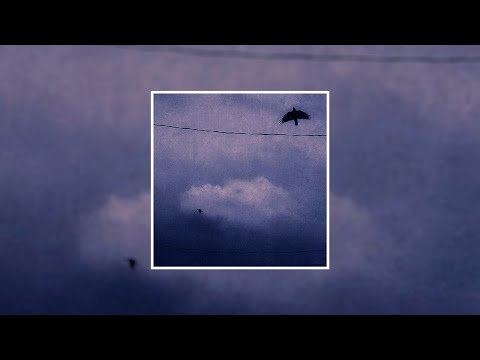 fly away · 乇爪Ꮆ乂