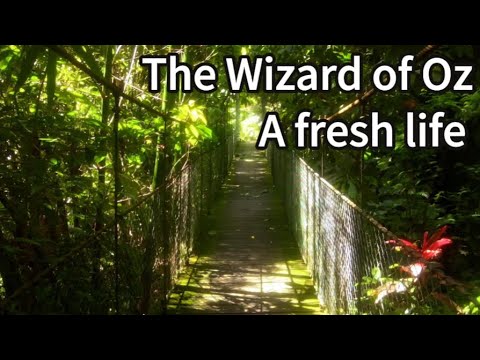 🌱 Falling into the Dream of Eternal Summer | Green Healing Scenery#chineseculture #realx