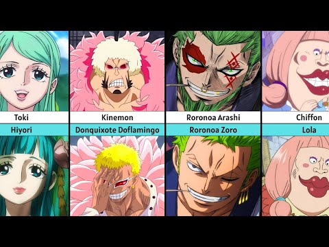 One Piece Characters Who Look Similar
