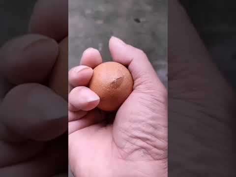 DM this to a friend 😂Via ||#short #video #amezing #seen#viral #comedy #viralvideo #subscribe