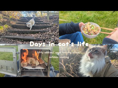 Day in Cat's life vlog - walking a cat, wood burning stove, camping food