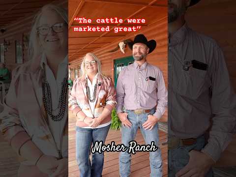 Cattle Producers on their BIGGEST day of the year #auctionday