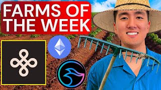 $DYM & $MANTA Airdrop Updates + Juicy $ETH Yields