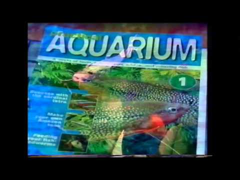 Tape 3 - Aquarium Advert [2000]