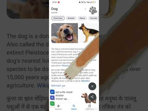 Google Unique Tricks | Try Now || #shorts #googletricks #googleupdate