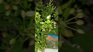 amazing nature ❤️😌#naturelovers #savethenature