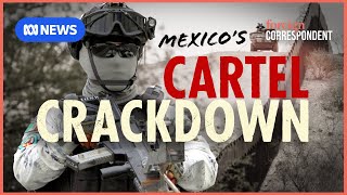 Cartels, Tariffs and Fentanyl, the US-Mexico Border Showdown Investigated | Foreign Correspondent