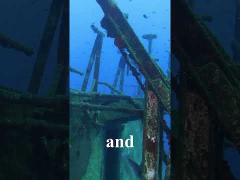 ROVs