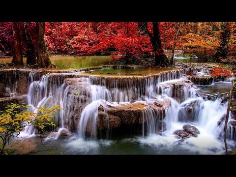 Beautiful and Relaxing Streaming Water Fountains| Birds & Nature Sounds| Soothing Music