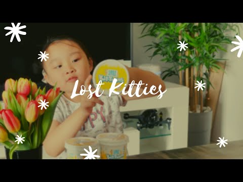 🐱 Opening 3 Lost Kitties Kit-Twins Toy 🐱