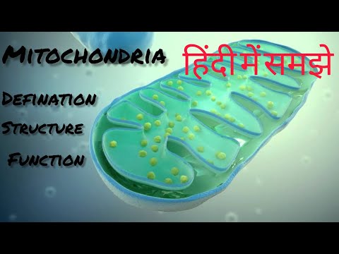 Mitochondria|power house of the cell| structure|function|cell organelles