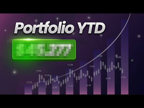 181% Portfolio Return YTD | Zion Trading Algos | Longterm Thinking