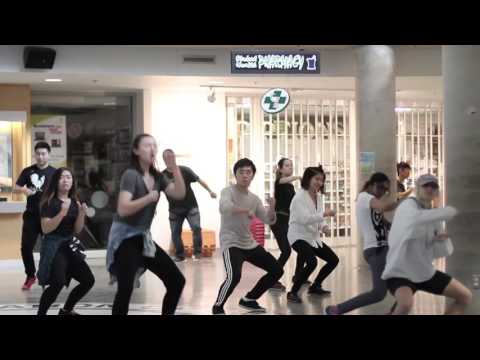 D4A - Primo Hip Hop Work Shop
