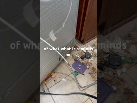 The proper way to clean your refrigerator and surrounding area #CleaningHacks #refrigeratorcleaning