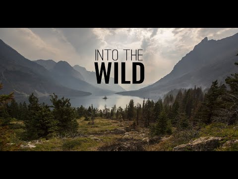'Into The Wild' - Chillout mix - Ambient music - Beautiful relaxation mix - Downtempo relax