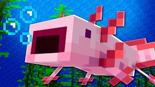 30 COISAS que você NÃO SABIA SOBRE os AXOLOTES no MINECRAFT!