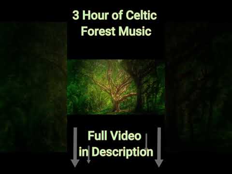 🧘 Musica para Relajarse | 3 Hour of Celtic Forest Music #shorts