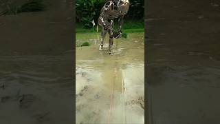 farming Robots #futurerobots #robots #ai #innovation #futuretechnology #robotics #future #robot