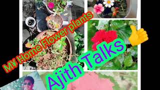 My home  flowers  plants🌺🌹Ajith Talks👍