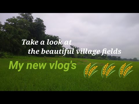 Take a look at the beautiful village fields​//new vlogs@Tissovlogsofficial #new #newvideo #newvlog #firstvlog