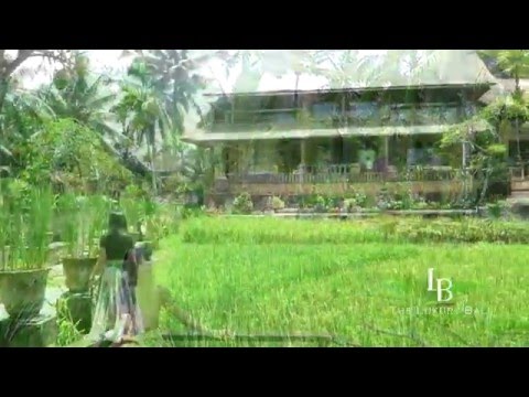 The Luxury Bali Experience - Wapa di Ume
