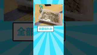 ㊗️140万回再生！！4年かけて500円貯金箱がパンパンになった