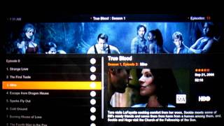Plex Windows Front End Client