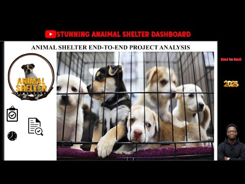 Power BI End-to-End Project | Animal Shelter Data Analysis Dashboard