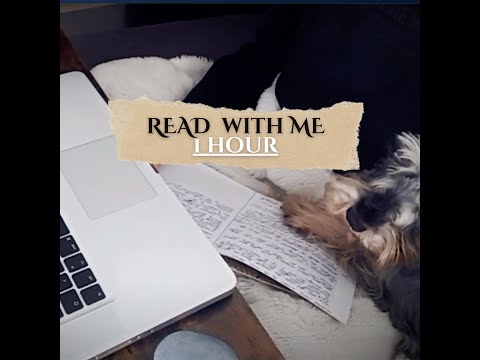 1 Hour READ WITH ME / at The Study Lounge / soft rain sounds