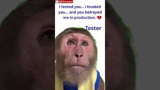 Tester Life in One Line 💔 | QA Meme