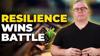 From Rock Bottom to Success: The Power of Resilience
