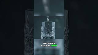 The Power of Words  How They Transform Water's Molecular Structure