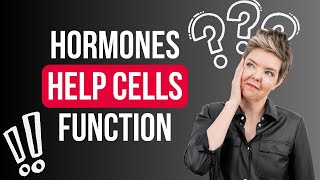 Unpacking the Myths: Honest Q&A on Hormones and Women's Health