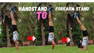 Handstand to forearm stand practice | attriyoga | #shorts