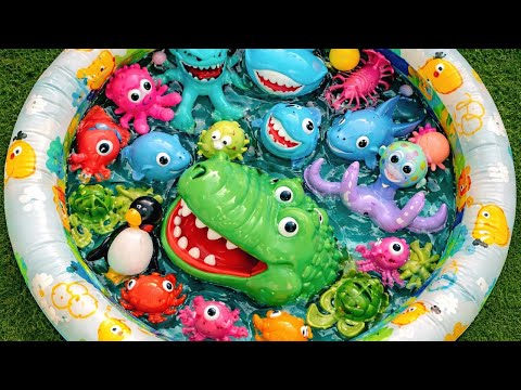 Wow! 🐙 Amazing Ocean Animals | Learn Sea Creature Names for Kids