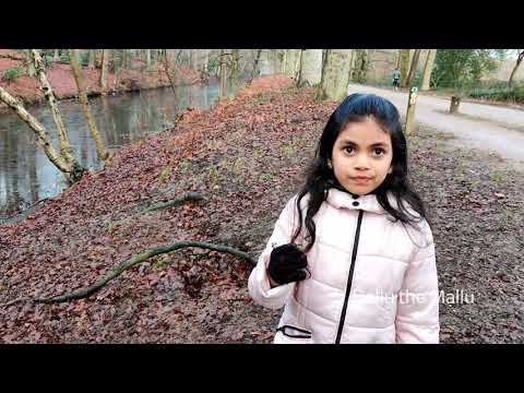 Frozen canals#youtubeshorts